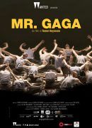 Mr. Gaga